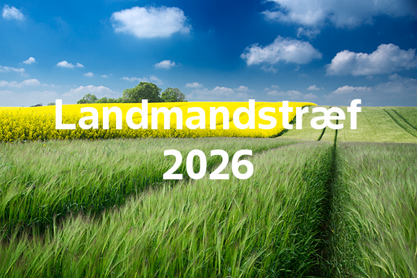 Landskab med en raps- og bygmark